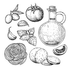 Italian pasta traditional ingredients. Homemade food vector drawing. 