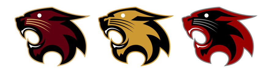 Tiger Head illustration.eps