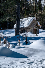 Julian Alps immersed in snow. Riofreddo Valley, wild and magical