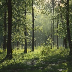 Obraz premium Spring forest glade with new foliage and early morning dew