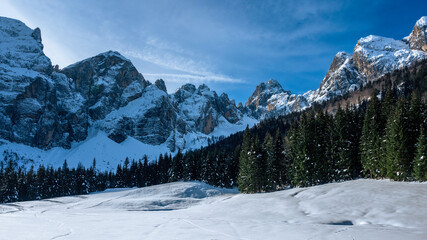 Julian Alps immersed in snow. Riofreddo Valley, wild and magical