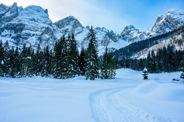 Julian Alps immersed in snow. Riofreddo Valley, wild and magical