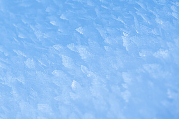 Julian Alps immersed in snow. Riofreddo Valley, wild and magical