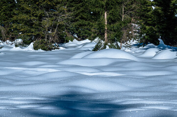Julian Alps immersed in snow. Riofreddo Valley, wild and magical