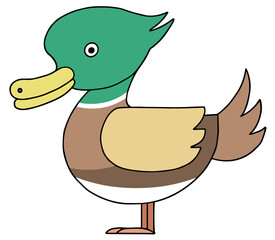 動物キャラクターイラスト - 鳥・バード・鳥類・鴨・マガモ