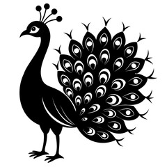 Peacock Bird black silhouette vector illustration isolated on a transparent background