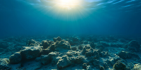 Fototapeta premium Sunlight casting a sorrowful glow on a lifeless coral reef, revealing the devastating impact of environmental degradation and climate change