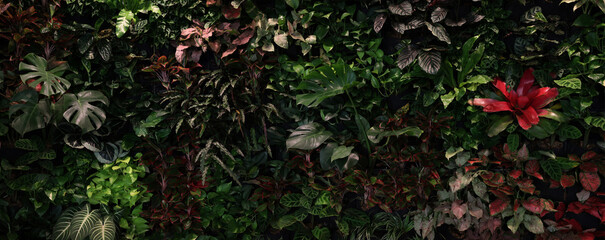 Herb wall, plant wall, natural green wallpaper and background. nature wall. Nature background of green forest
