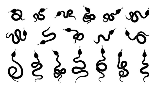 Snake silhouette set. Black snakes in different poses crawl, wriggle. Python, viper reptile collection. Vector illustration isolated  on white background