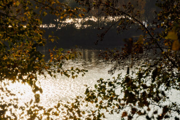 Ripples of water on the lake are visible through the leaves of autumn trees.
