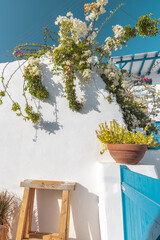 The picturesque architecture of Paros features a bright blue door and whitewashed walls adorned with blooming flowers under a clear sky, showcasing the island's natural beauty.