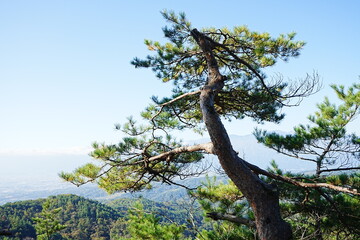 Landscape from Hachioji Mountain Peak of Shosenkyo Gorge in Yamanashi, Kofu, Japan - 日本 山梨 昇仙峡 八王子山からの眺め