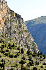 View of the mountains from the cliffs