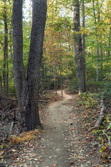 Woodland Trail