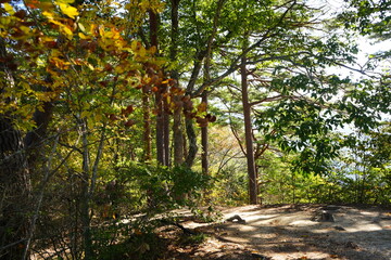 Fototapeta premium Landscape from Hachioji Mountain Peak of Shosenkyo Gorge in Yamanashi, Kofu, Japan - 日本 山梨 昇仙峡 八王子山からの眺め