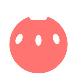 Fototapeta premium christmas ornament Illustration