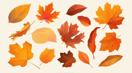 Naklejka premium A vibrant collection of autumn leaves in shades of orange, yellow, and red, showcasing the beauty of fall.
