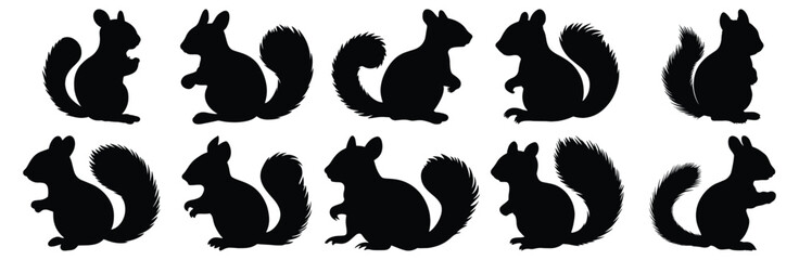 Squirrel silhouette set vector design big pack of animal illustration and icon © Catnip