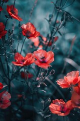 A cluster of bright red flowers growing among lush green grass