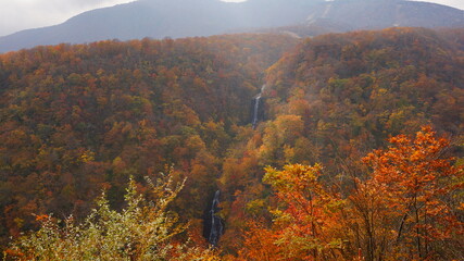 紅葉の滝見台