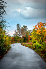 Asphalt road around the forest,path in the forest,countryside road.Autumn landscape photography in the woodlands .Orange and yellow leaves on the road,beautiful road through the forest