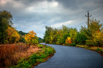 Asphalt road around the forest,path in the forest,countryside road.Autumn landscape photography in the woodlands .Orange and yellow leaves on the road,beautiful road through the forest