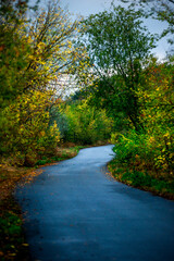Asphalt road around the forest,path in the forest,countryside road.Autumn landscape photography in the woodlands .Orange and yellow leaves on the road,beautiful road through the forest