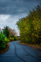 Asphalt road around the forest,path in the forest,countryside road.Autumn landscape photography in the woodlands .Orange and yellow leaves on the road,beautiful road through the forest