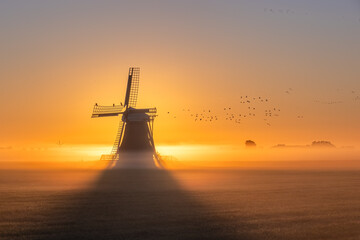 Traditional typical Frisian Dutch wind mill, windmill and wind turbine at orange dawn sunrise in fog mist and migrating flock of birds