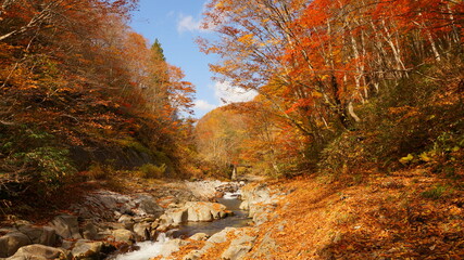 中津川渓谷の紅葉