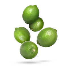 Fresh ripe limes falling on white background