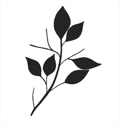 Obraz premium branch with leaves