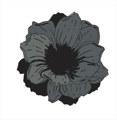 black and white flower