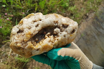 A rock found in nature consisting of quartz and chalcedony, rockhounding