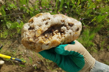 A rock found in nature consisting of quartz and chalcedony, rockhounding