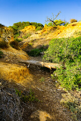 Algarve - Felsen, Meer Sonne, Strand