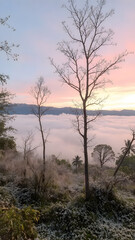 Obraz premium Sunrise in the morning at national park