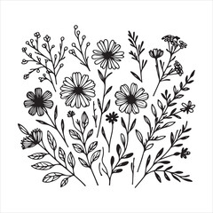 Wild Flowers illustration