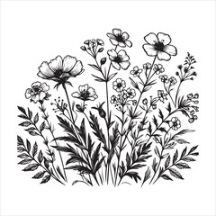 Wild Flowers illustration
