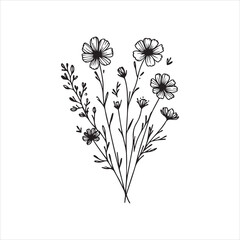 Wild Flowers illustration