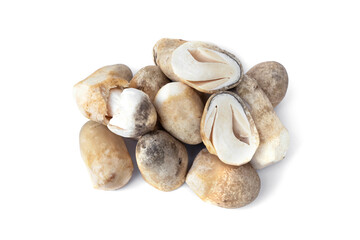 Straw mushroom pile cut in half isolated on white background.