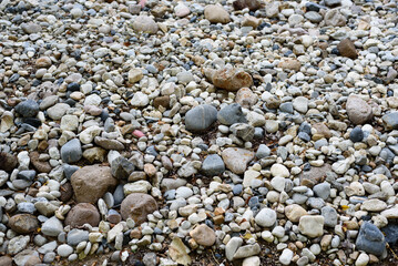 Various pebbles for decorating the garden
