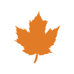 maple icon vektor