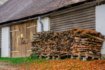 Logs from cut down trees prepared for the winter lie near the house