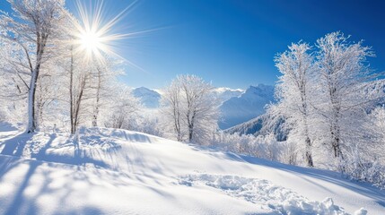 Obraz premium Snow-Covered Trees Against a Pristine Blue Sky, Sun Shining Brightly Over Mountains