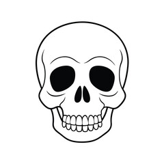 Vintage-Style Skull Illustration Vector