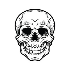 Vintage-Style Skull Illustration Vector