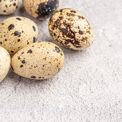 Obraz premium Easter quail eggs. Spring background with small easter quail eggs. Vintage photo processing