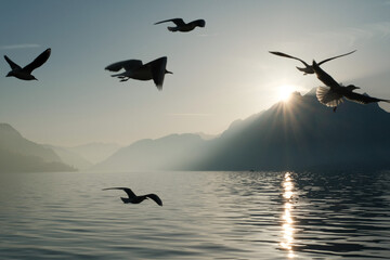 Silhouette of Seagulls