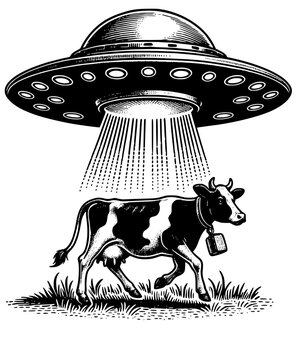 ufo alien cow abduction